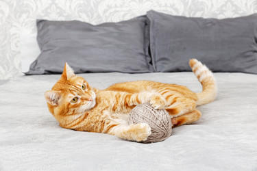 Similar image 21370167