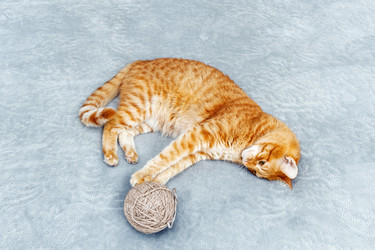 Similar image 21370170