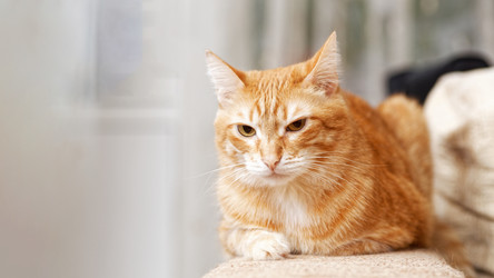 Similar image 21370173