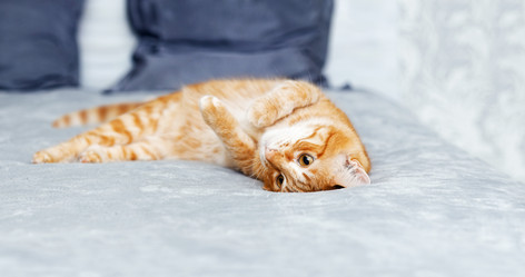 Similar image 21370189