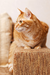 Similar image 21370190