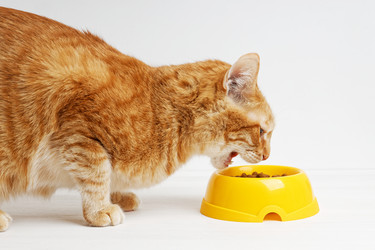 Similar image 21352797