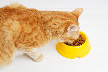 Similar image 21352798