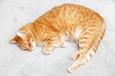 Similar image 21352800