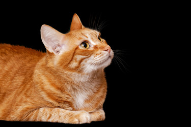 Similar image 21352801