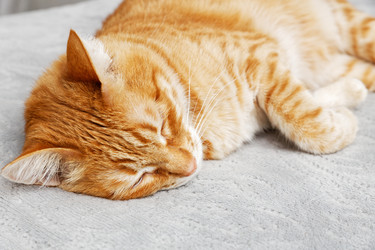 Similar image 21360523