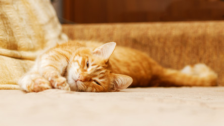 Similar image 21360527