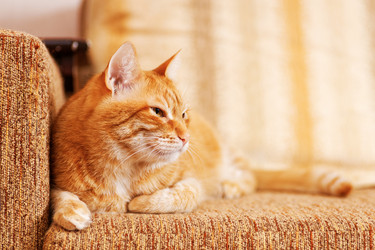 Similar image 21360541