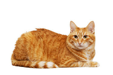 Similar image 21360544