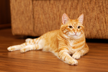 Similar image 21360545