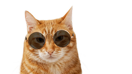 Similar image 21369846