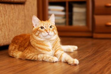 Similar image 21369847