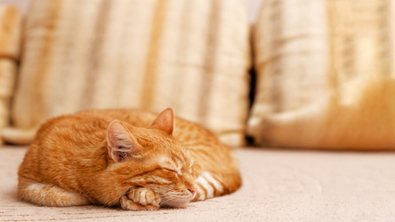 Similar image 21369848