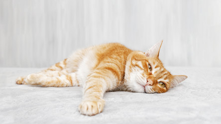 Similar image 21369850