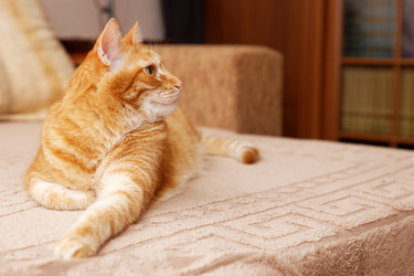 Similar image 21369851