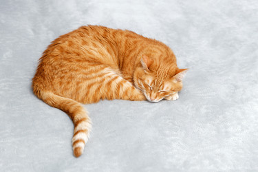 Similar image 21369852