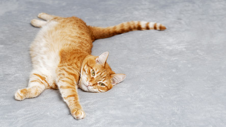 Similar image 21369858