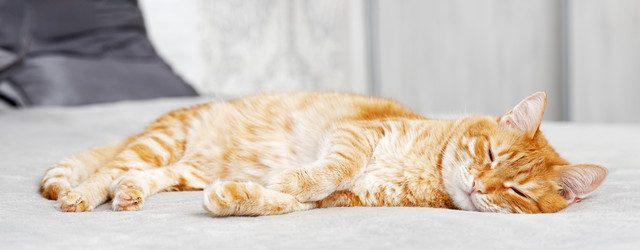 Similar image 21369859