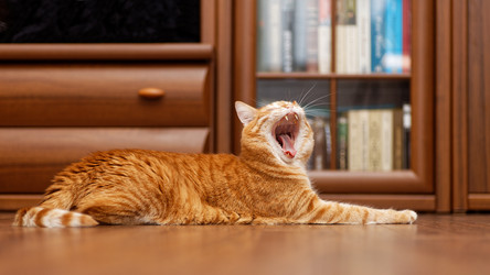 Similar image 21369862