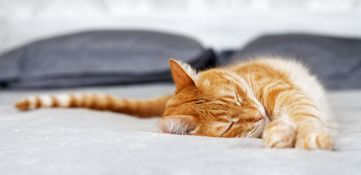 Similar image 21369863