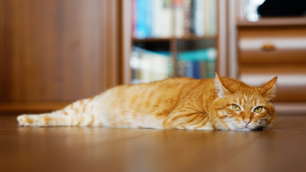 Similar image 21369866