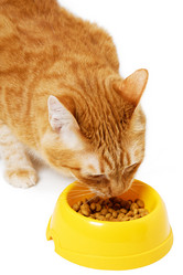 Similar image 21369867