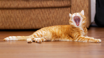 Similar image 21369868