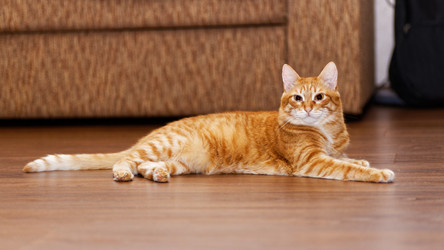 Similar image 21369869