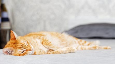 Similar image 21369871