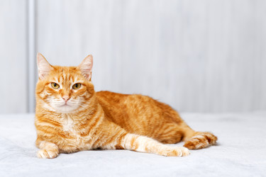 Similar image 21369872