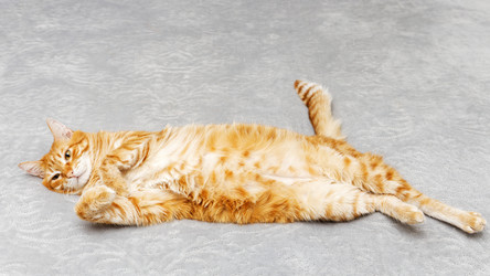 Similar image 21369873