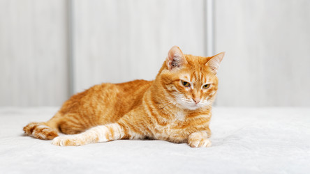 Similar image 21369874