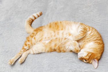 Similar image 21369876