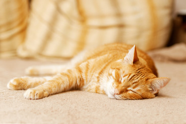 Similar image 21369878