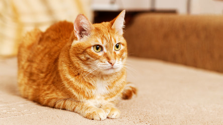 Similar image 21369881