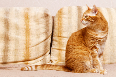 Similar image 21369882