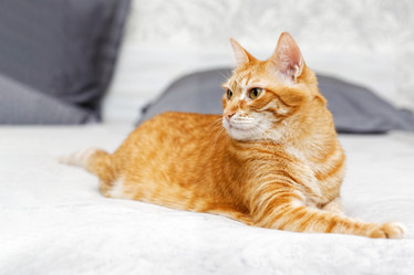 Similar image 21369883