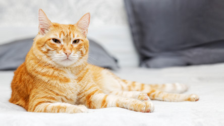 Similar image 21369885