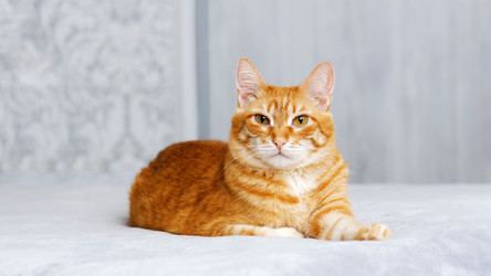 Similar image 21369887