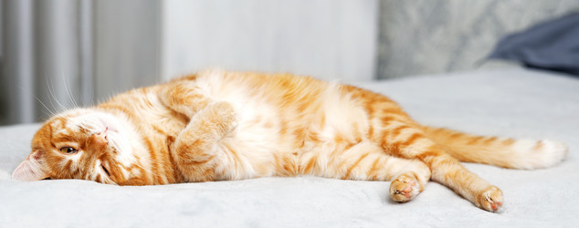 Similar image 21369890