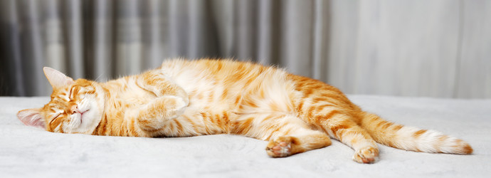 Similar image 21369891