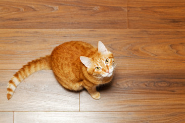 Similar image 21369893