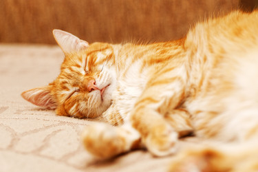 Similar image 21369897