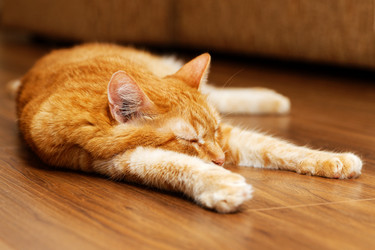 Similar image 21369898