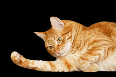 Similar image 21369899