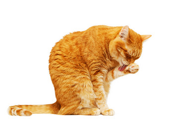 Similar image 21369901