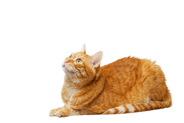 Similar image 21369904