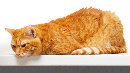 Similar image 21369906