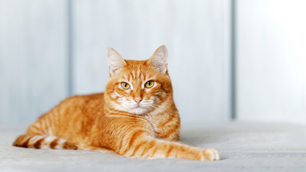 Similar image 21369907