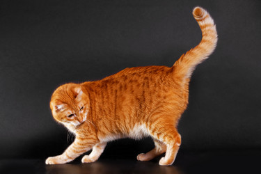 Similar image 21369910